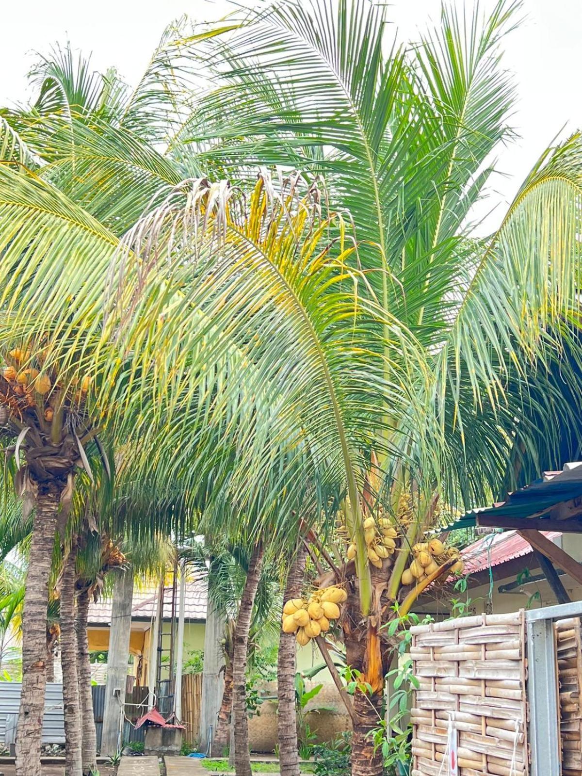 Bias Bungalows Gili Air Luaran gambar